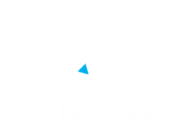 BMS Holding